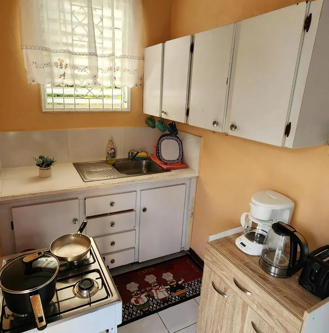 Tatil Evi Cozy Ochie Villa Ocho Rios Jamaika